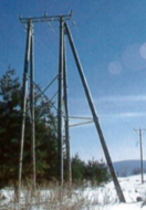 POTEAU BOIS S 255 10ML CELCURE OU ESTRADE #5807320/380