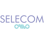 BALLAST ELECTRONIQ 250W SHP/IM